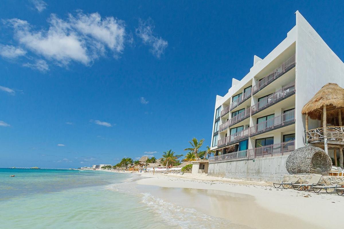 פלאייה דל כרמן Itb Luxury Apartment On The Beach Near To 5Th Ave מראה חיצוני תמונה